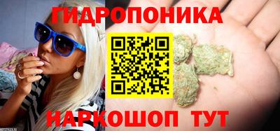 соль ск Нальчик